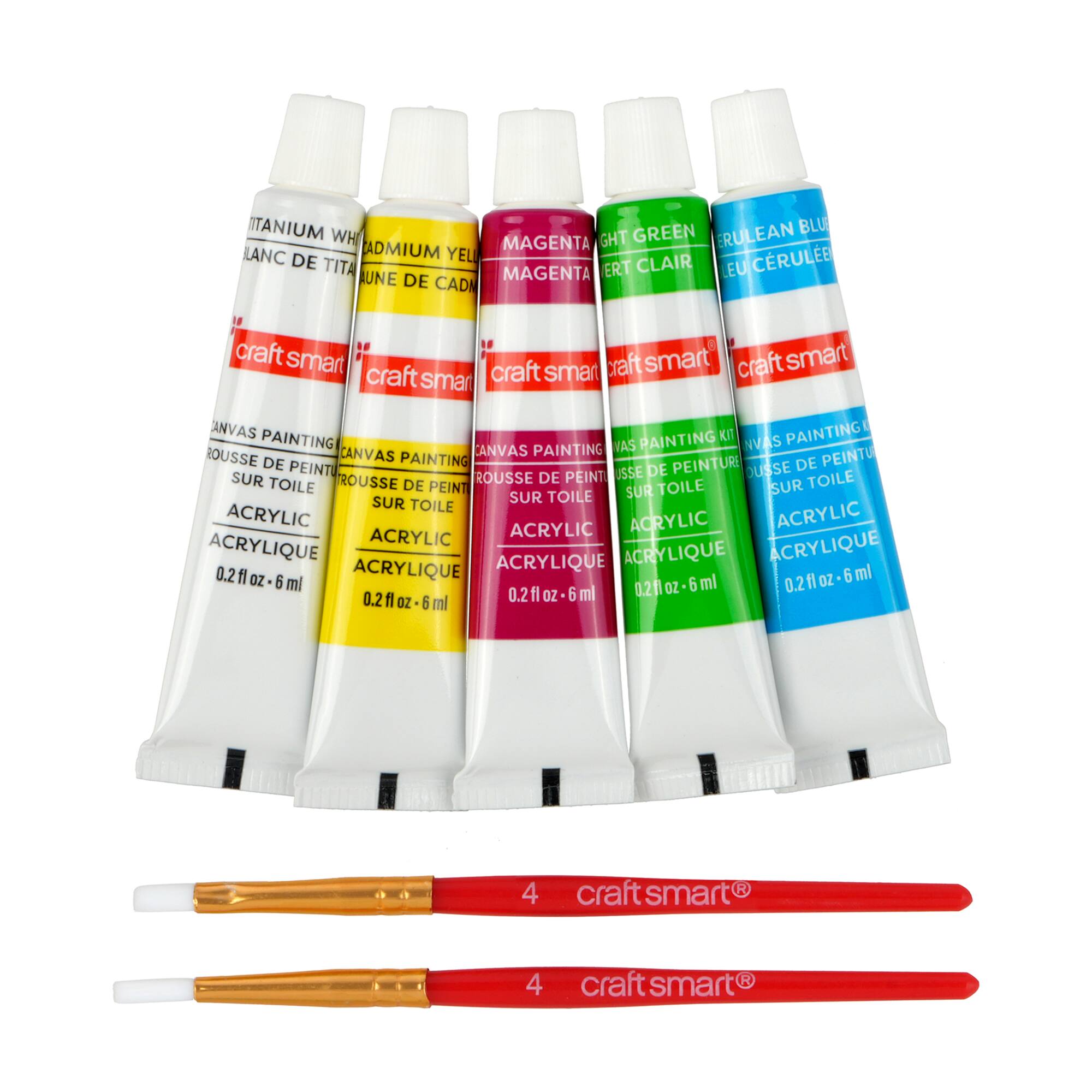 Mini Floral Arch Canvas Painting Kit by Craft Smart®
